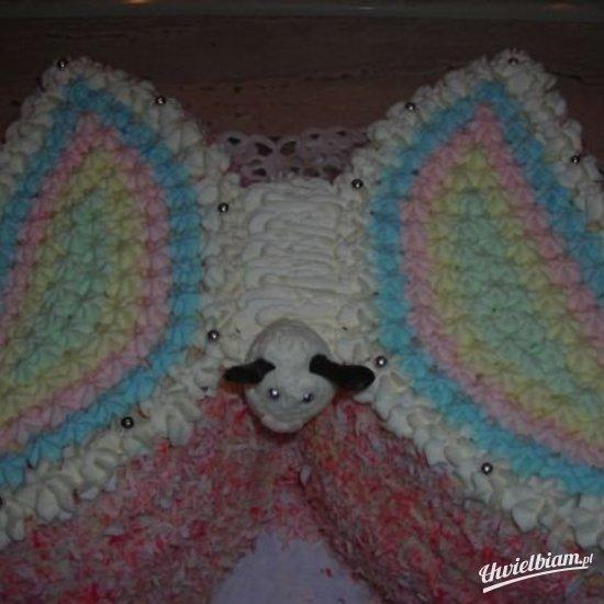 Tort-motylek