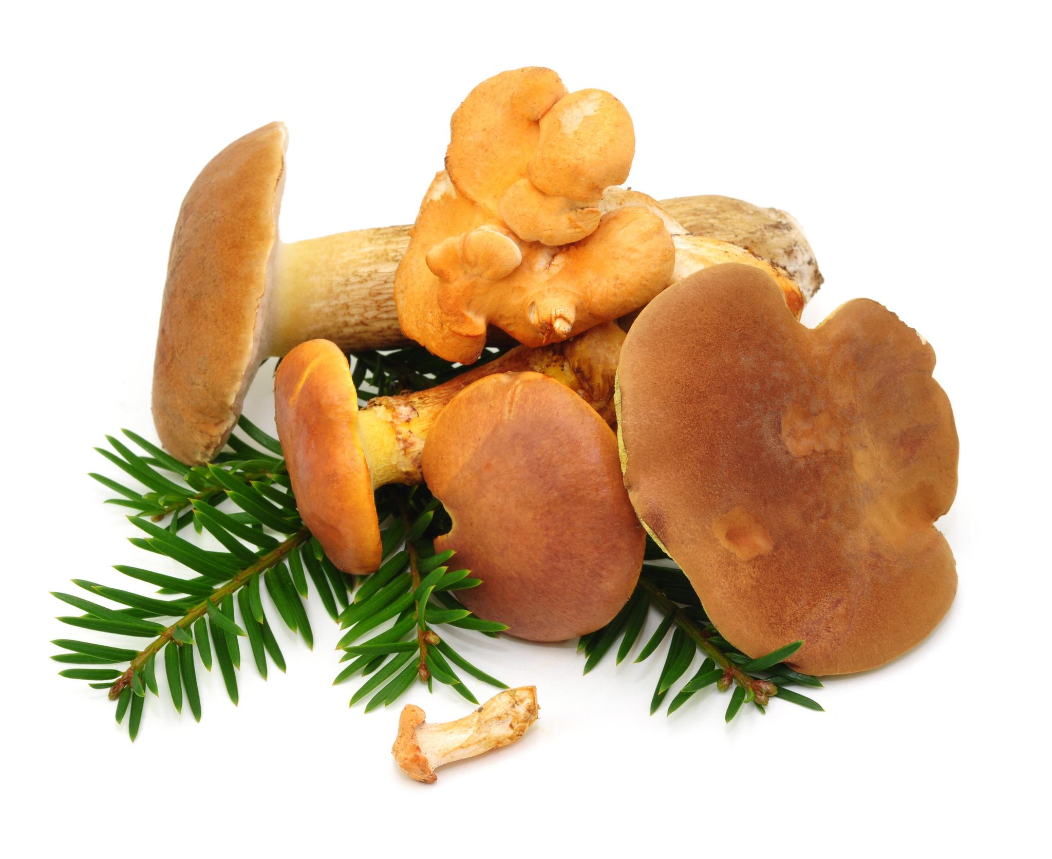 Makaron z bobem i chilli