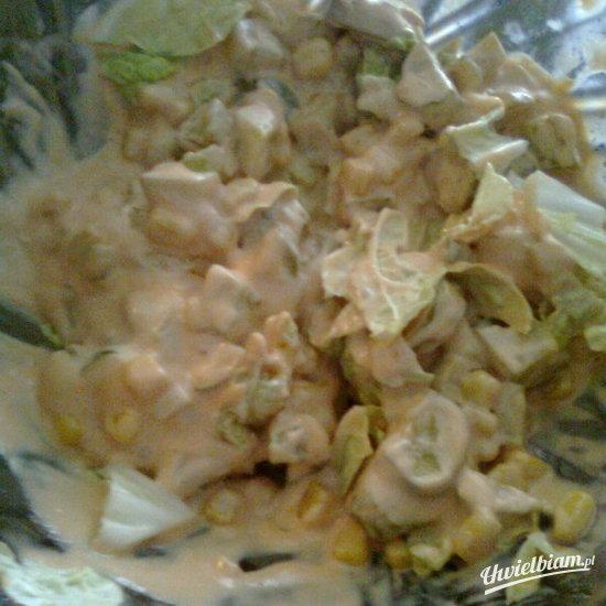 Gyros domowy