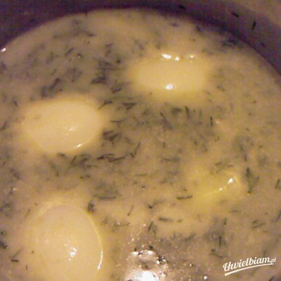 Jajka w koperkowym sosie